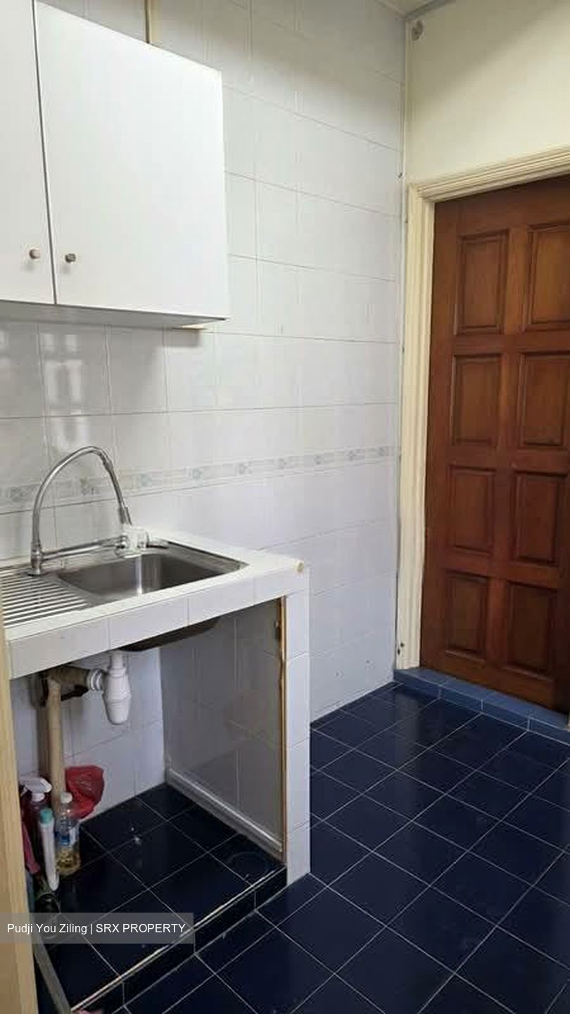 Trengganu Street (D1), Shop House #546307041